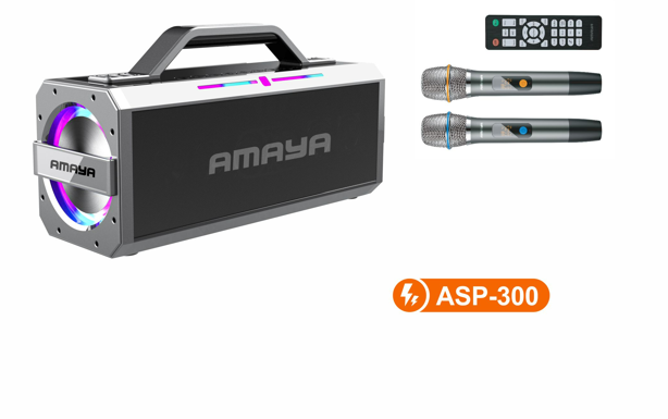 Amaya ASP-300 300W High-End Outdoor Karaoke Speaker